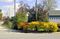Carver Street