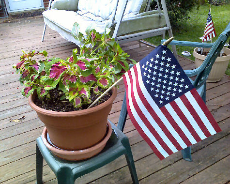� David A. Leas - all rights reserved.