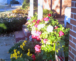 � David A. Leas - all rights reserved.