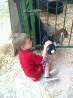 � David A. Leas - all rights reserved.