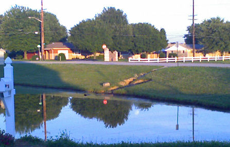 The Moon Reflected in the Pond