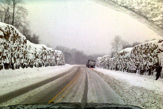 On State Rd 46 near Hartsville.