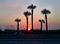 Sunset in Pass-a-Grille.