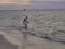 Janeanne looking for shells, again