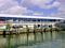 Returning to the Clearwater Marine Aquarium after our boat tour.