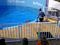 Patrick the dolphin and his trainer in the Clearwater Marine Aquarium.