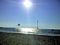 A bird, Janeanne and a communication tower at Fort De Soto beach.