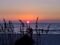 We made it back to Pass-a-Grille to see the setting sun.
