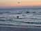 A pellican in the water and a gull flying in the light of the setting sun.