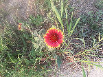 � David A. Leas - all rights reserved.
