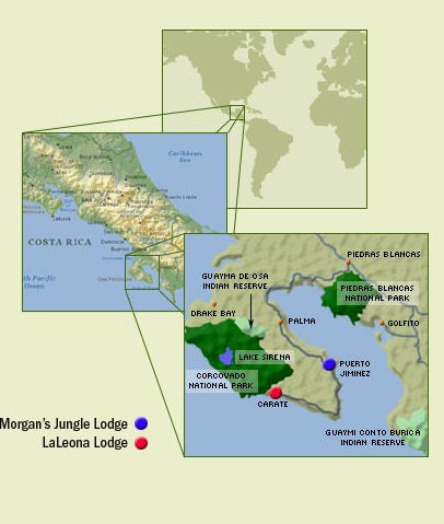 From the Jungle Lodge webpage (www.morgansjunglelodge.com )